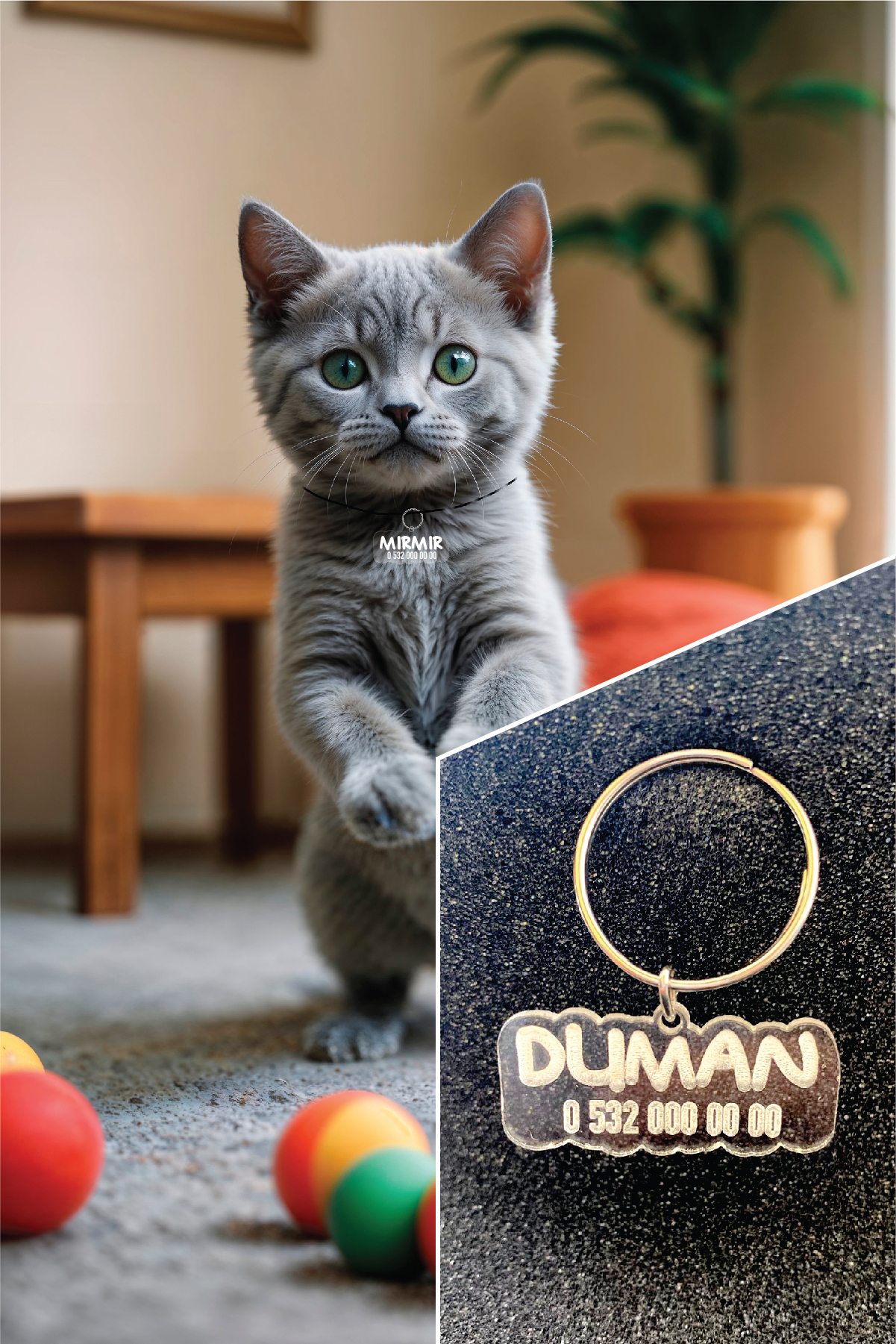 Patiwest Kedi ve Köpek Için Isme Özel Künye